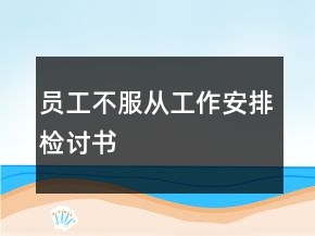 員工不服從工作安排檢討書