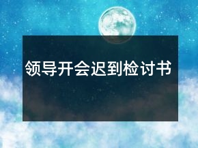 領(lǐng)導(dǎo)開會遲到檢討書
