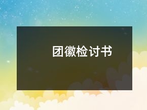 團徽檢討書