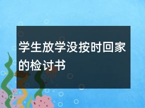 學(xué)生放學(xué)沒按時回家的檢討書
