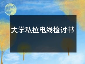 大學私拉電線檢討書