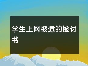 學生上網被逮的檢討書