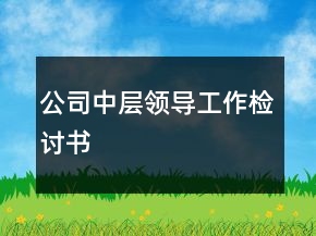 公司中層領(lǐng)導(dǎo)工作檢討書