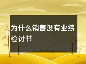 為什么銷售沒有業(yè)績檢討書