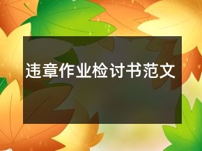 違章作業(yè)檢討書(shū)范文