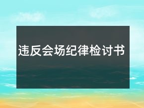 違反會場紀律檢討書