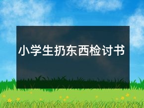 小學(xué)生扔?xùn)|西檢討書