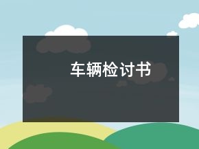 車(chē)輛檢討書(shū)