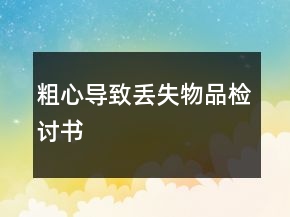 粗心導(dǎo)致丟失物品檢討書