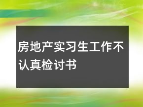 房地產(chǎn)實習生工作不認真檢討書
