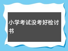 小學考試沒考好檢討書