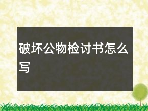 破壞公物檢討書怎么寫