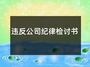 違反公司紀律檢討書