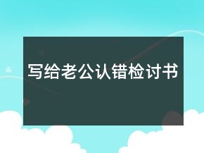 寫給老公認(rèn)錯(cuò)檢討書
