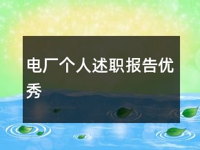 電廠個人述職報告優(yōu)秀