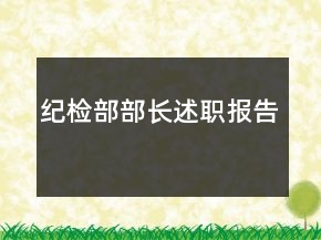 紀檢部部長述職報告