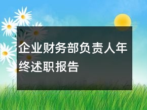 企業(yè)財(cái)務(wù)部負(fù)責(zé)人年終述職報(bào)告