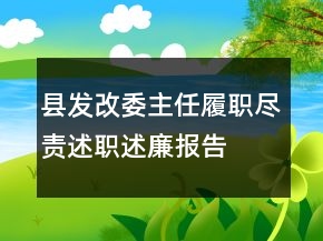 縣發(fā)改委主任履職盡責(zé)述職述廉報告