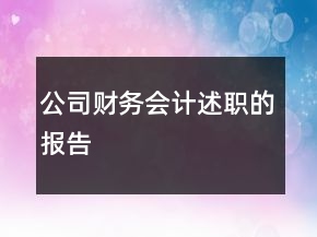 公司財務(wù)會計述職的報告