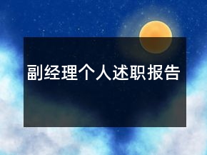 副經(jīng)理個人述職報告