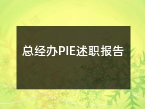 總經辦PIE述職報告