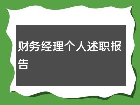 財務經(jīng)理個人述職報告