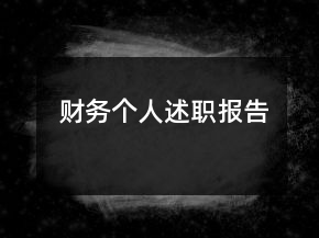 財務(wù)個人述職報告