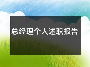 總經理個人述職報告