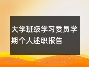 大學班級學習委員學期個人述職報告
