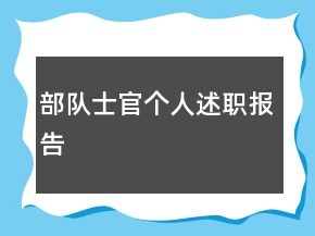 部隊士官個人述職報告
