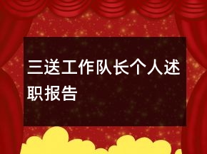三送工作隊長個人述職報告