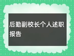 后勤副校長個(gè)人述職報(bào)告
