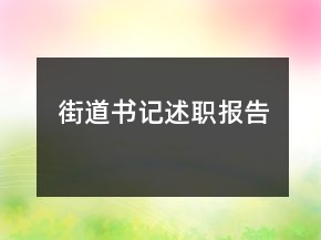 街道書記述職報告