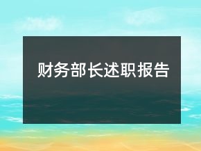 財務(wù)部長述職報告