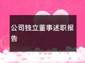 公司獨立董事述職報告