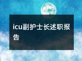 icu副護士長述職報告
