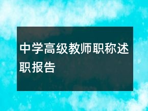 中學高級教師職稱述職報告