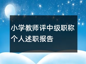 小學(xué)教師評中級職稱個人述職報告