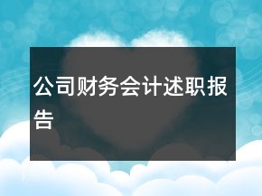 公司財(cái)務(wù)會(huì)計(jì)述職報(bào)告