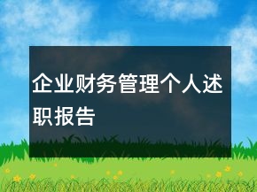 企業(yè)財務管理個人述職報告