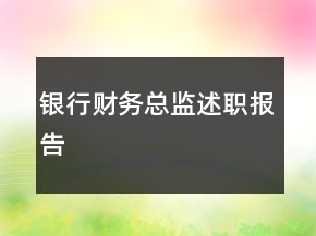銀行財務(wù)總監(jiān)述職報告
