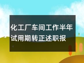 化工廠車間工作半年試用期轉(zhuǎn)正述職報(bào)告