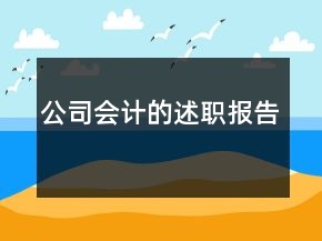 公司會計的述職報告