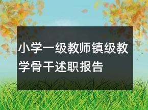 小學(xué)一級教師鎮(zhèn)級教學(xué)骨干述職報(bào)告