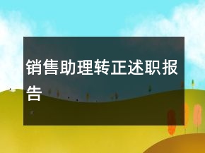 銷售助理轉(zhuǎn)正述職報告