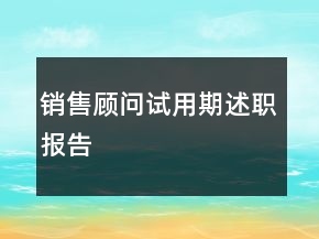 銷售顧問試用期述職報告