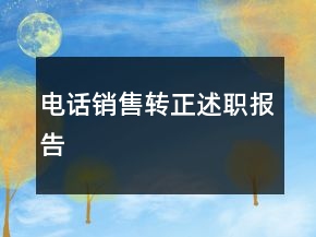 電話銷售轉(zhuǎn)正述職報告