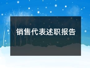 銷售代表述職報(bào)告