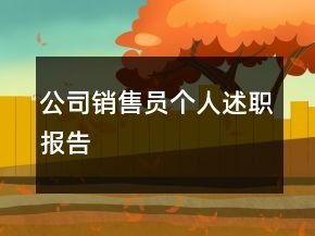 公司銷售員個(gè)人述職報(bào)告