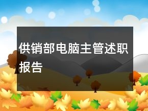 供銷(xiāo)部電腦主管述職報(bào)告